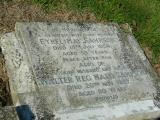 image of grave number 219581